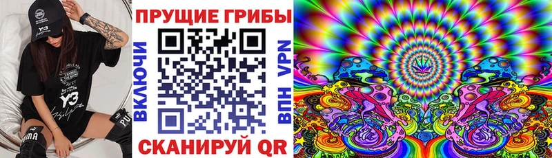 Галлюциногенные грибы MAGIC MUSHROOMS  купить наркоту  Иноземцево 